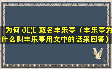 为何 🦍 取名丰乐亭（丰乐亭为什么叫丰乐亭用文中的话来回答）